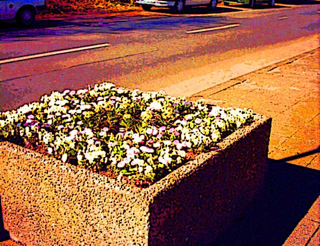 nordstadt034