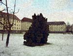 nordstadt074